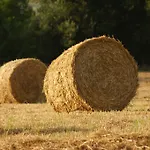 Farmház Agriturismo Ti Amo Gualdo di Macerata
