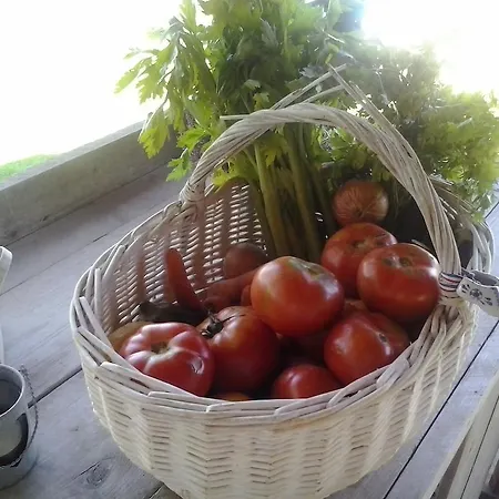 Farmház Agriturismo Ti Amo *